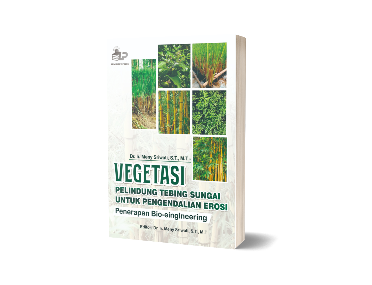 VEGETASI PELINDUNG TEBING SUNGAI UNTUK PENGENDALIAN EROSI: Penerapan Bio-engineering