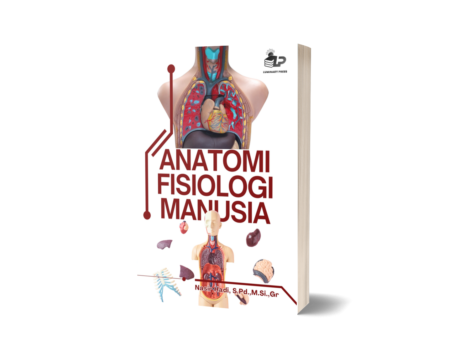 ANATOMI FISIOLOGI MANUSIA