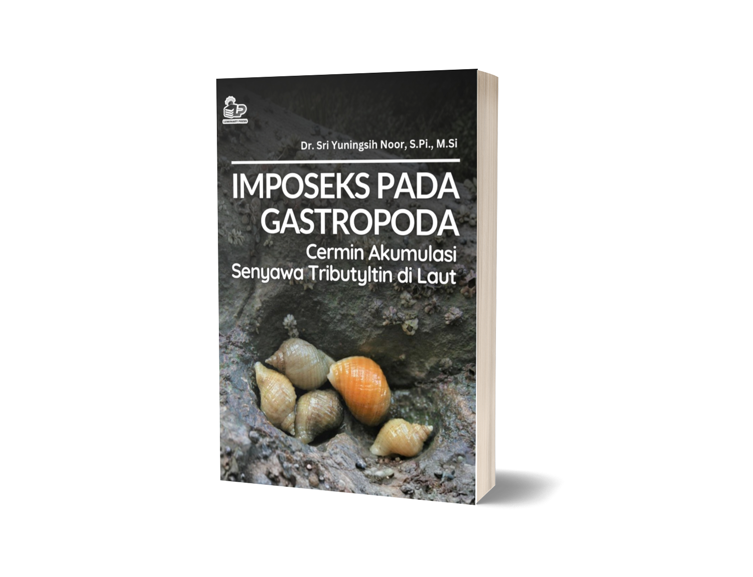 IMPOSEKS PADA GASTROPODA Cermin Akumulasi Senyawa Tributyltin di Laut
