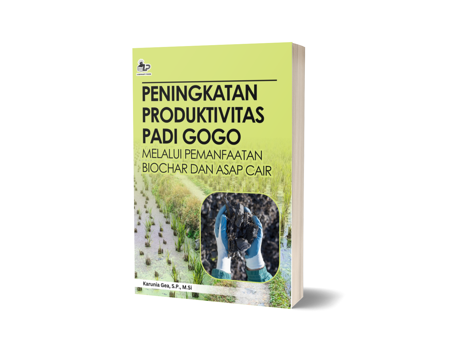 PENINGKATAN PRODUKTIVITAS PADI GOGO MELALUI PEMANFAATAN BIOCHAR DAN ASAP CAIR