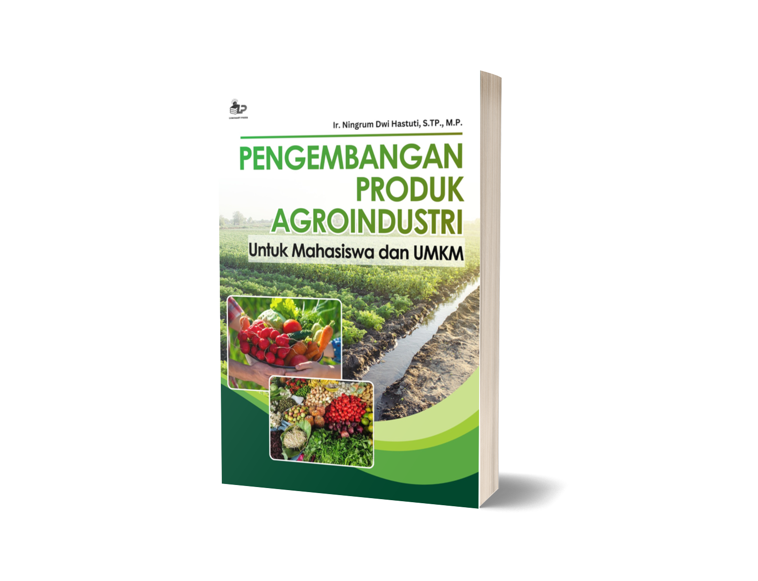 PENGEMBANGAN PRODUK AGROINDUSTRI: Untuk Mahasiswa dan UMKM