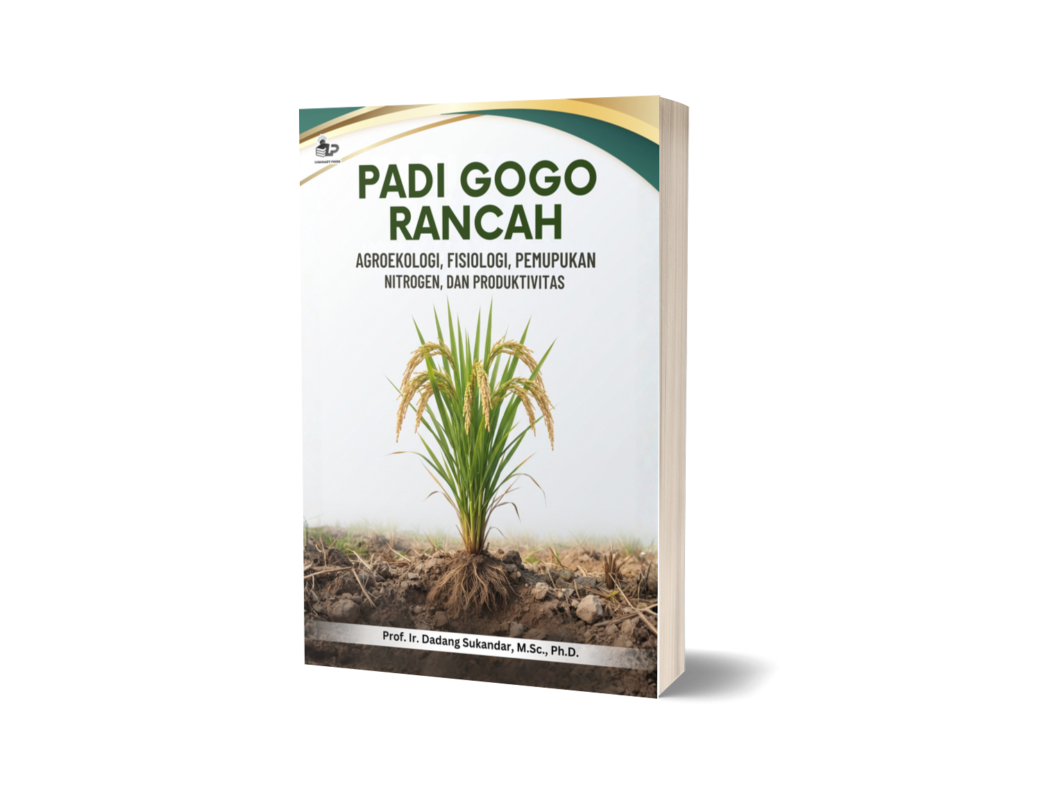 PADI GOGO RANCAH: AGROEKOLOGI, FISIOLOGI, PEMUPUKAN NITROGEN, DAN PRODUKTIVITAS